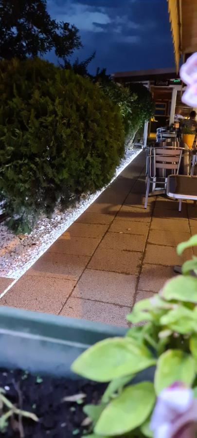 Pensiunea Zodiac Timişoara Exterior foto